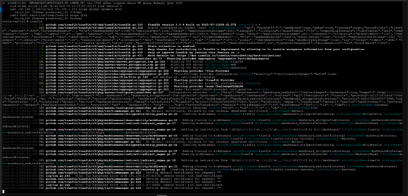 Вид нашей консоли при тестовом запуске Traefik